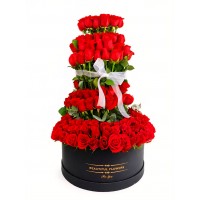 AR55 Piramide de Rosas