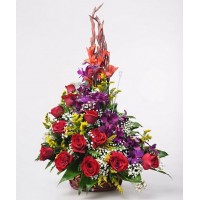 AP11 Orquídeas y Rosas