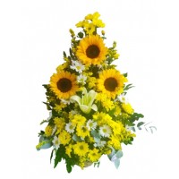 AG35 Girasoles y Margaritas