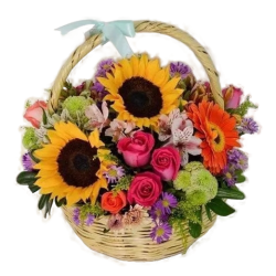 AP10 Espléndida Canasta