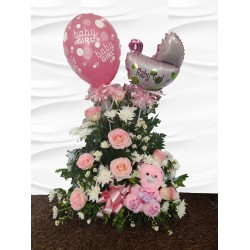 AN24 Variado de Niña