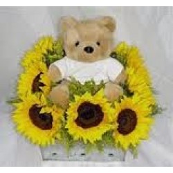 AN50 Girasoles y Oso