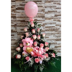 AN31 Arreglo de Niña