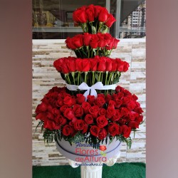 AR55 Piramide de Rosas