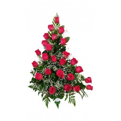 AR70 Arreglo de 24 Rosas