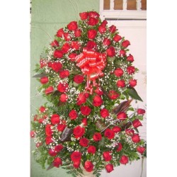 AR40 Explosión de Rosas