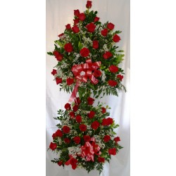 AR10 Rosas en Altura