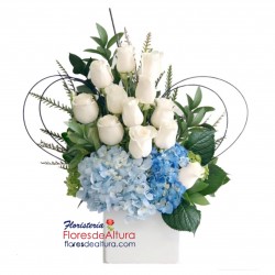 RC20  Rosas y Hortensias en Caja