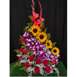 AP09 Girasol, Orquídeas y Rosas