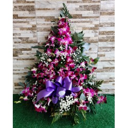 AO40 Orquideas Elegante