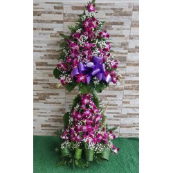 AO70 Amor con Orquideas